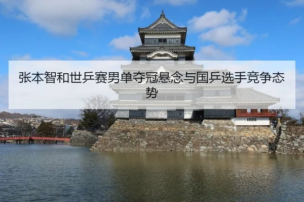张本智和世乒赛男单夺冠悬念与国乒选手竞争态势